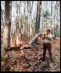 Picture of a man holding the tree that fell on Paul